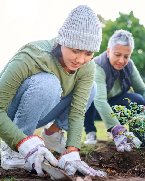 Plants Community Service Woman Volunteering Park Garden Nature Sustainability Climate — Stock Fotó
