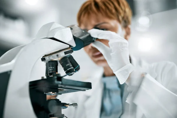 Microscope, study or scientist woman in science laboratory for DNA research, medical and medicine data analysis. Doctor, healthcare teamwork or nurse for health, cancer innovation or virus idea test.