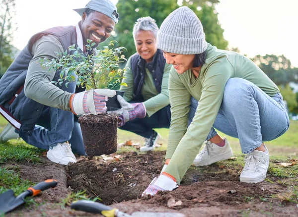 Plants, community service and volunteering group in park, garden and nature for sustainable environment. Climate change, tree gardening and earth day project for growth, global care and green ecology.