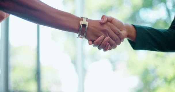 Üzletemberek Kézfogás Üdvözlet Találkozó Hello Együttműködés Irodai Partnerség Közeli Munkatársak — Stock videók
