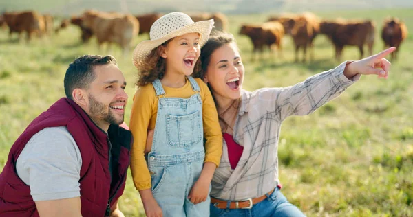 Happy family bonding on a cattle farm, happy, laughing and learning about animals in nature. Parents, girl and agriculture with family relaxing, enjoying and exploring the outdoors on an open field.