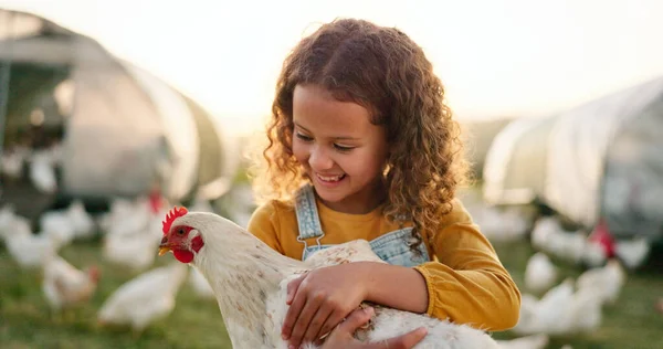 Chicken, smile and girl on a farm learning about agriculture in the countryside of Argentina. Happy, young and sustainable child with an animal, bird or rooster on a field in nature for farming.