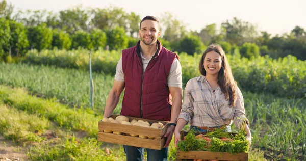 Vegetables box, agriculture and farmer couple portrait in countryside lifestyle, food market production and supply chain. Agro business owner people, seller or supplier with green product harvest.