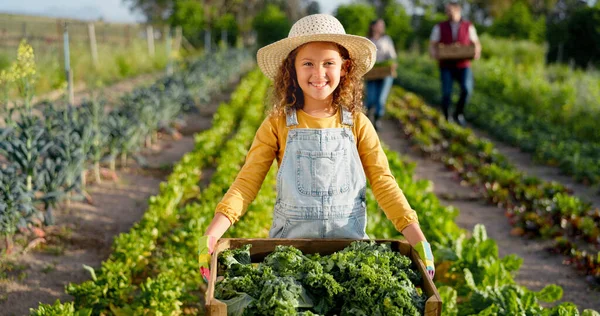 Маленька Дівчинка Ферма Сільське Господарство Зеленому Врожаї Сталого Органічного Виробництва — стокове фото