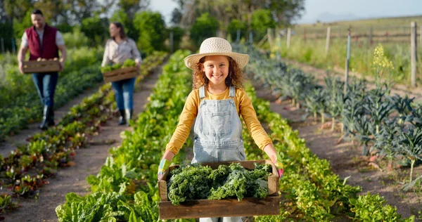 Маленька Дівчинка Ферма Сільське Господарство Зеленому Врожаї Сталого Органічного Виробництва — стокове фото