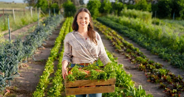 Жінка Фермер Сільське Господарство Овочі Коробці Сільське Господарство Свіжі Продукти — стокове фото