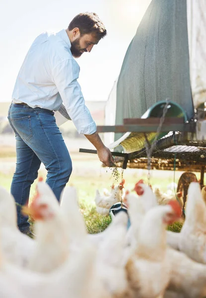Αγρότης Ζωοτροφές Κοτόπουλο Γεωργία Και Τον Άνθρωπο Υπαίθρια Πουλερικά Και — Φωτογραφία Αρχείου