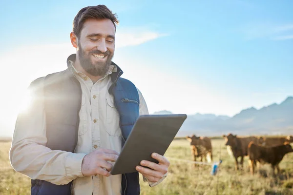 Χαμόγελο Αγελάδα Γεωργία Άνθρωπος Tablet Στο Αγρόκτημα Για Βιωσιμότητα Την — Φωτογραφία Αρχείου