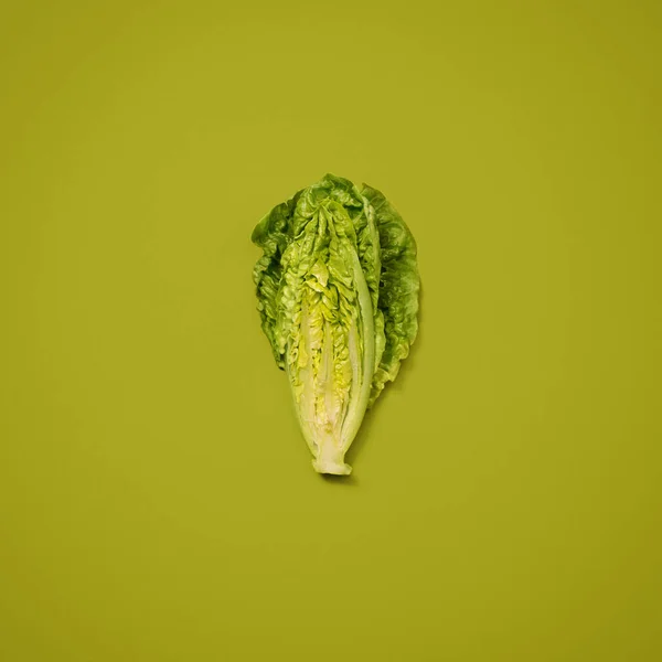 Fresher than you expect. a head of lettuce against a studio background