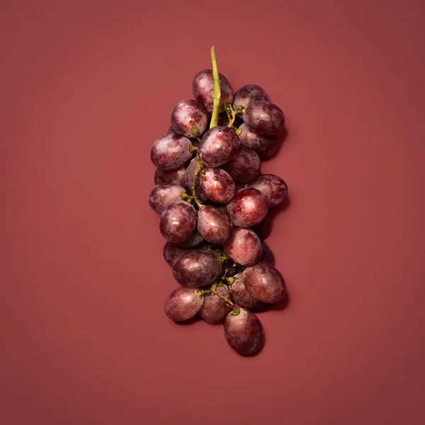 Yummy treats come on vines. a bunch of grapes against a studio background