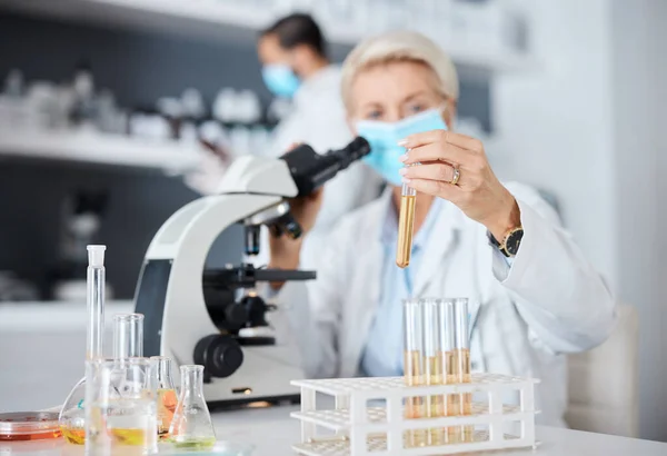 Microscope, face mask and science woman analysis of bacteria, virus or covid liquid solution in laboratory. Biotechnology, vaccine research or medicine study of scientist or medical person test tube.