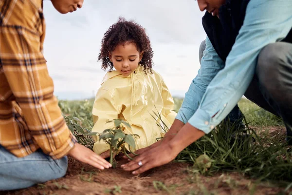 Family, girl and parents planting for growth, agriculture or loving on countryside break, bonding or hobby. Love, father or mother with daughter, learning or child development with organic vegetation.