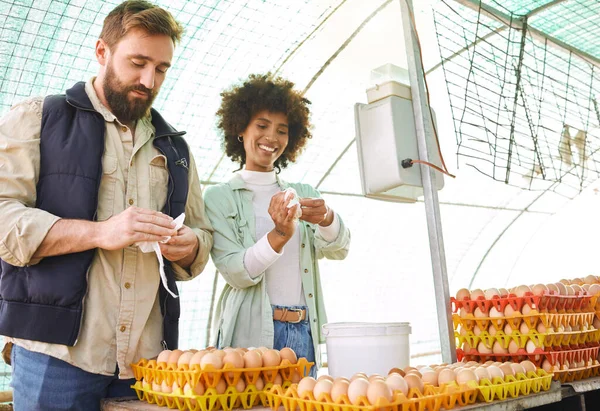 Egg production, chicken farmers and people check barn, stock and logistics of supply chain in food industry. Happy man, woman and workers poultry farming for eggs, inspection and growth of eco export.