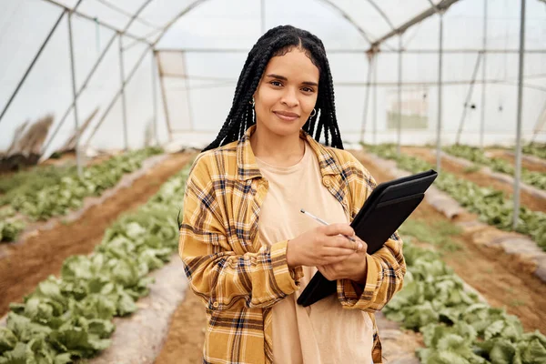 Greenhouse, agriculture portrait and black woman with vegetables inspection, agro business and food supply chain. Farming, gardening and farmer person with portfolio, checklist and growth management.