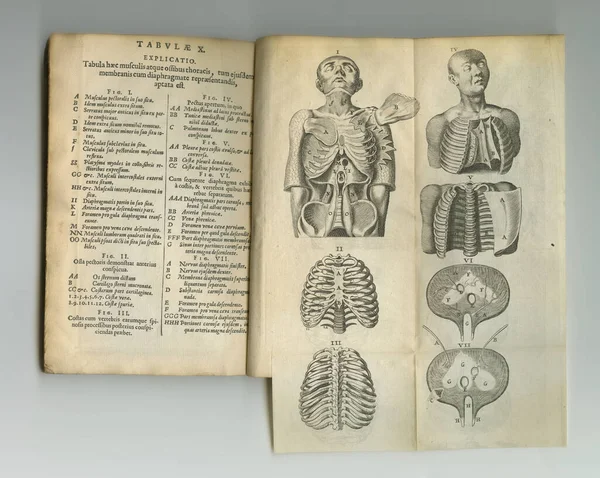 Old Medical Literature Old Anatomy Book Its Pages Display — Stock Photo, Image