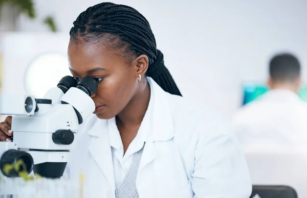 Medical Science Black Woman Microscope Laboratory Research Analytics Medicine Woman — Photo