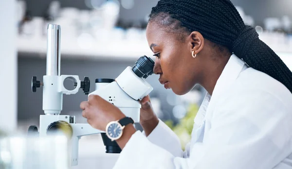 Black woman, medical science and microscope in laboratory for research, analytics and medicine. Woman, doctor and scientist study at work for an investigation, healthcare and futuristic or innovation.