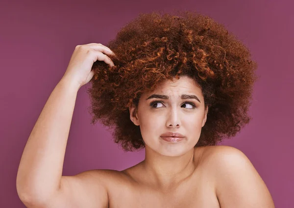 Woman stress, hair loss or afro on beauty studio background in grooming, texture anxiety or fail. Model, hand or natural hairstyle with damage, split ends or frizzy knot on isolated skincare backdrop.