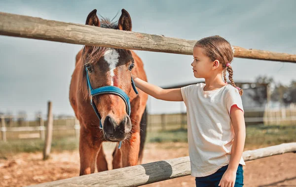 .Girl child, touch horse and outdoor with care, love and holiday at farm, countryside or zoo in summer. Young kid, pet and animal with kindness, friendly and freedom for learning in morning sunshine
