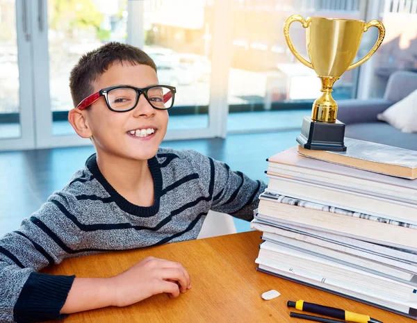 Top Scholar Top Lad Portrait Smart Young Boy Posing Next — Stock Photo, Image