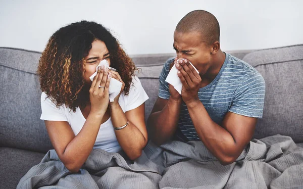 We should have gotten a flu shot. a young couple blowing their noses at home