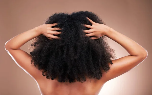 Hands in hair, black woman with afro and beauty, haircare and cosmetics with back on studio background. Female, natural cosmetic treatment with curly hairstyle, rear view and texture with grooming.