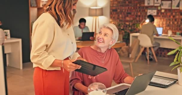 Senior Business Woman Laptop Assistant Planning Web Design Schedule Office — Vídeo de Stock