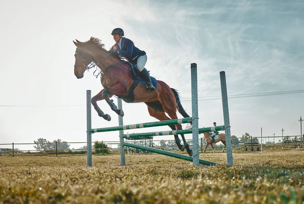 Training, competition and woman on a horse for sports, an event or show on a field in Norway. Jump, action and girl doing a horseback riding course during a jockey race, hobby or sport in nature.