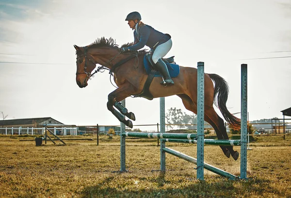 Training, jump and woman on a horse for sports, an event or show on a field in Norway. Equestrian, action and girl doing a horseback riding course during a jockey race, hobby or sport in nature.