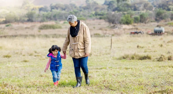 Grandma, girl and holding hands for walk on grass, family farm and bonding together with love outdoor. Old woman, child and helping hand in countryside, field and happiness in nature with landscape.