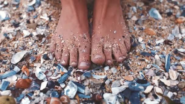 Vrouw Voeten Het Zand Met Zeeschelp Het Strand Tijdens Zomervakantie — Stockvideo