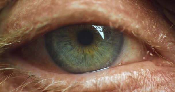 Mata Visi Dan Kesehatan Dengan Seorang Pria Senior Berkedip Matanya — Stok Video