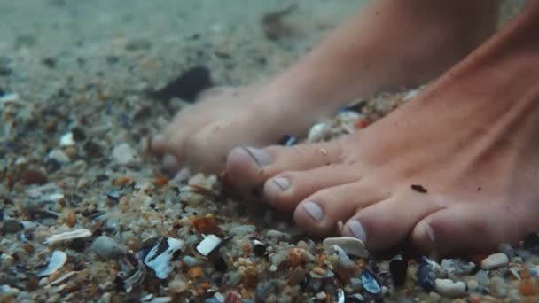 Pés Mar Conchas Com Mulher Descalça Oceano Com Dedos Dos — Vídeo de Stock