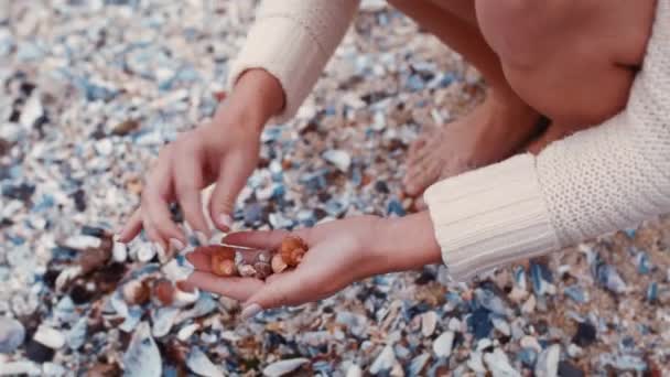 Hände Frau Und Strand Muschelkollektion Während Der Sommerferien Touristin Forscherin — Stockvideo