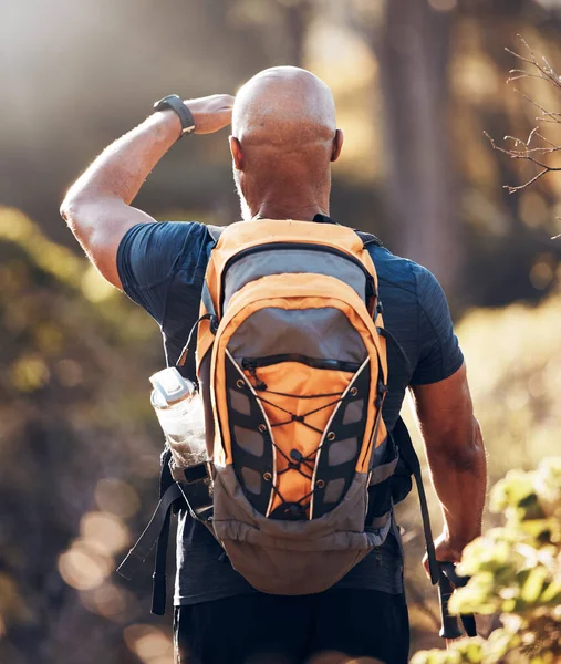 Backpacking Πεζοπορία Και Την Πλάτη Του Μαύρου Άνδρα Στο Δάσος — Φωτογραφία Αρχείου