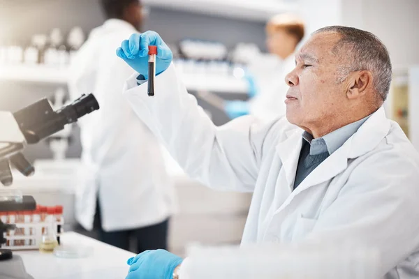 Blut Wissenschaft Und Leitender Wissenschaftler Labor Mit Probe Für Forschung — Stockfoto