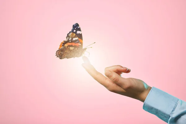 Butterfly, studio and hand with insect and lens flare in isolated pink background. Bright, bug and woman hands with nature and spring aesthetic with light glow and bugs with advertisement space.