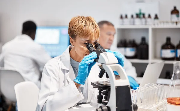 Forschung Mikroskop Und Wissenschaft Mit Schwarzer Frau Labor Für Biotechnologie — Stockfoto