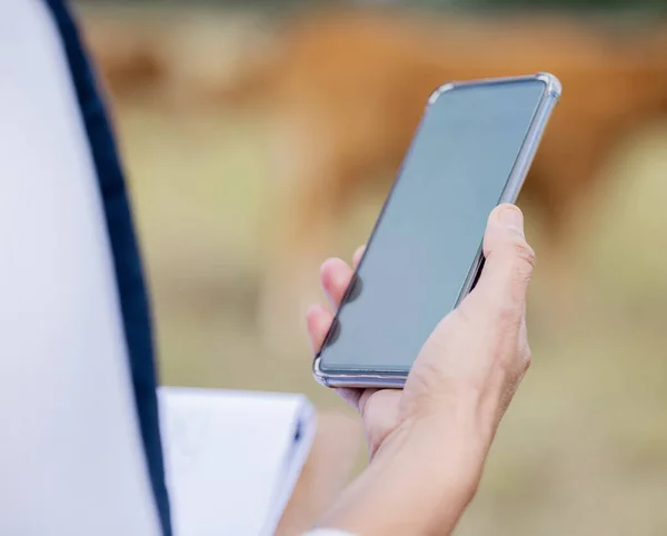 Hands, phone screen and mockup with farmer on farm for advertising, marketing or product placement. Agriculture branding, agro technology and woman with 5g mobile smartphone for sustainable tech