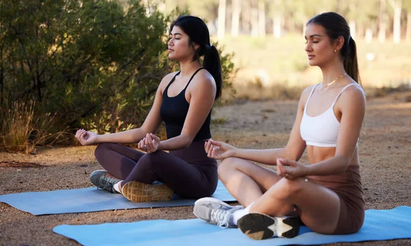 Yoga, outdoor meditation and women exercise in nature for fitness, peace and wellness. People or friends on forest ground for lotus workout and energy for mental health, chakra and zen mind or time.