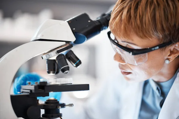 Medical science, woman and glasses at microscope in a laboratory for research, analytics and to study. Scientist person with Petri dish in lab for dna particle, future and biotechnology innovation.