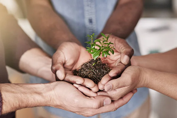 Recorte Grupo Personas Sosteniendo Una Planta Que Crece Fuera Del — Foto de Stock