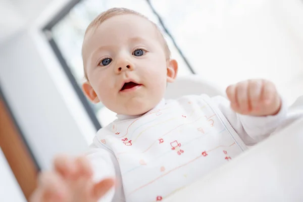 Puedo Tocar Vista Ángulo Bajo Lindo Bebé Niño Tratando Tocar —  Fotos de Stock