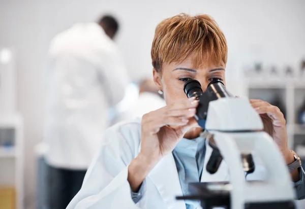 Kontrolle Mikroskop Und Wissenschaft Mit Schwarzer Frau Labor Für Experimente — Stockfoto