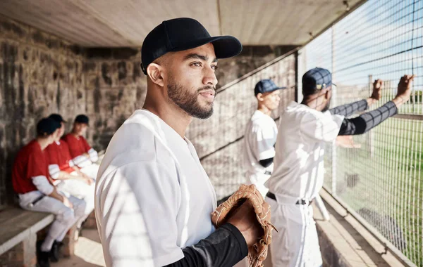 Baseball, sports and man with team in stadium watching games, practice match and competition on field. Fitness, teamwork and male athlete in dugout waiting for exercise, training and sport workout.