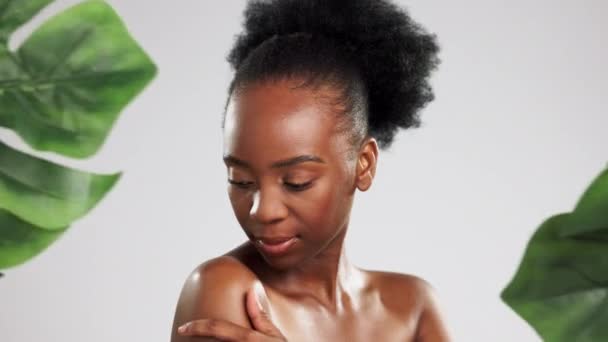 黑人妇女的脸 皮肤护理和美丽 在工作室里的叶子被隔离在灰色背景下 用于可持续性或皮肤健康的雌蕊模型的肖像 自然妆容或化妆品 — 图库视频影像