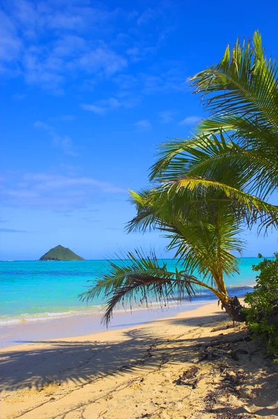 ハワイ州オアフ島の西海岸 カイルア州内の地区 この小さな半マイルのビーチは世界で最高のビーチの一つにランクされています — ストック写真