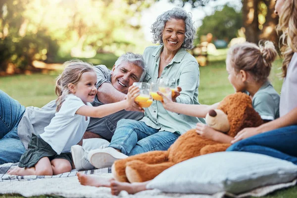 Familie Proost Met Sap Een Picknick Het Park Gelukkig Zomerweekend — Stockfoto