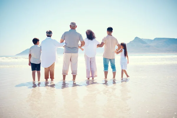 Black family, beach or holding hands with children, parents and grandparents standing in the water from behind. Back, nature or view with kids, senior people and relatives bonding in the ocean.