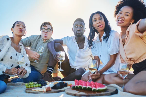自拍或疯狂的朋友去野餐 享受夏天的结合或健康的水果 笑脸或快乐的人在大自然中度过一个悠闲的假日 一边喝酒一边吃东西 — 图库照片